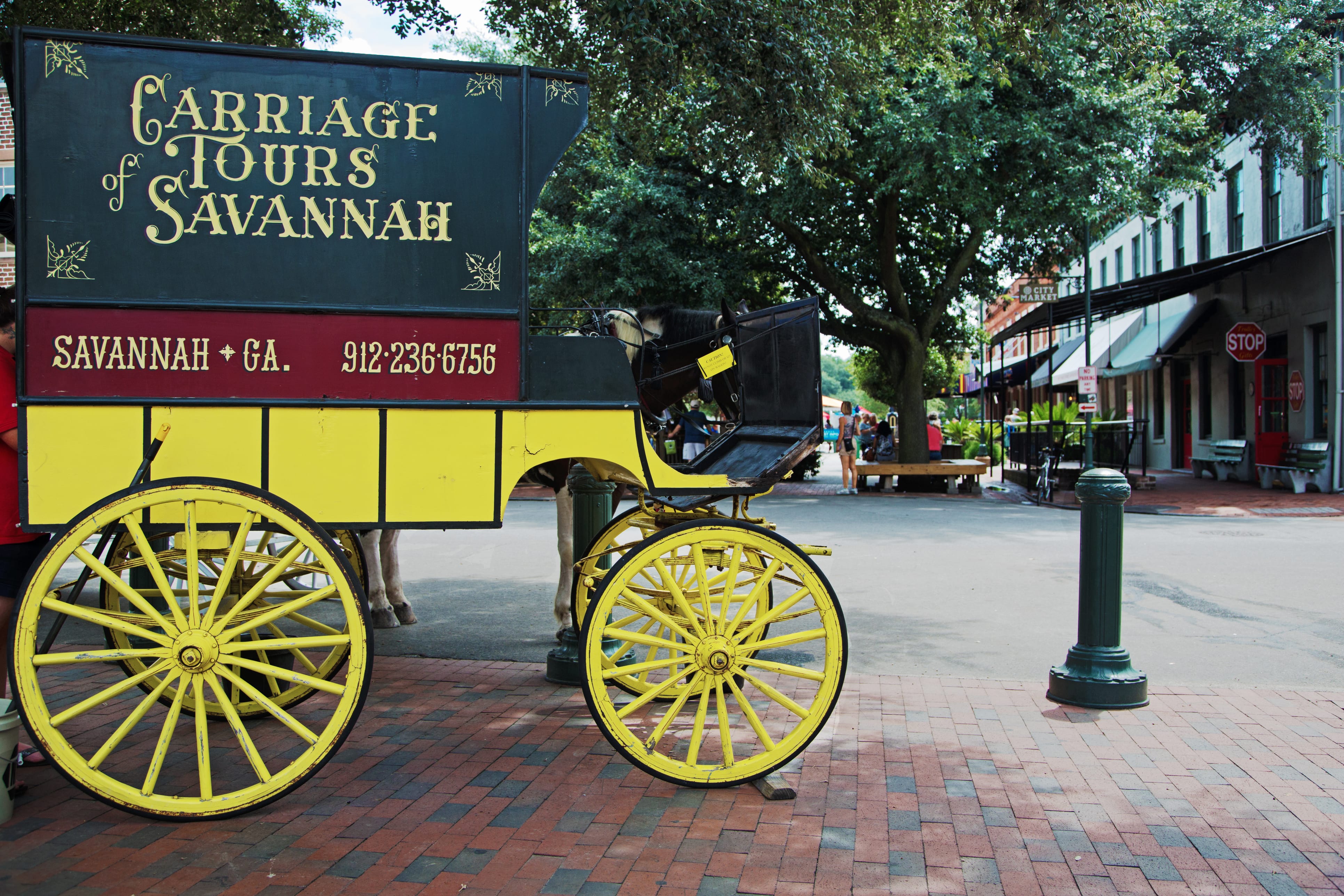 Chicago City Streets at Christmas